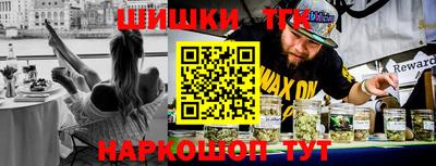 стафф Бердск