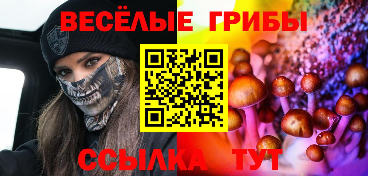 Галлюциногенные грибы Psilocybe  Галлюциногенные грибы Psilocybe  Урай  Вход с VPN 